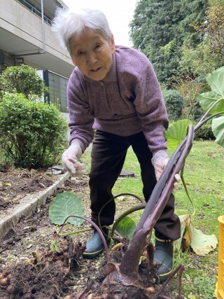      画像拡大	するしない   キャプション	 キャプションを入力 2	  画像