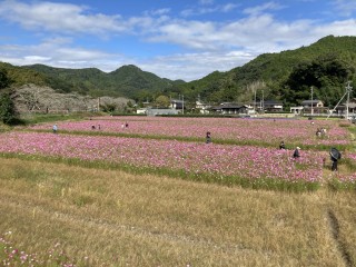      画像拡大	するしない   キャプション	 キャプションを入力 2	  画像